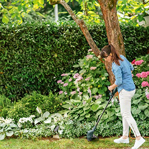 Bosch Home and Garden 06008C1H00 Bosch Cortabordes EasyGrassCut 23 (280 W, en caja de cartón), 23 cm