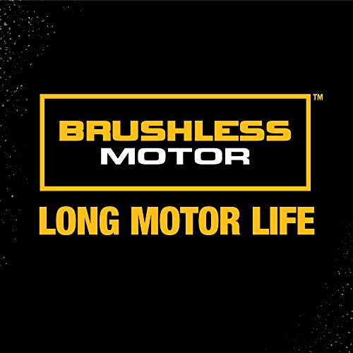 DEWALT DCF620D2 2.0AH 20-volt MAX XR Li-Ion Brushless Drywall ScrewGun by DEWALT