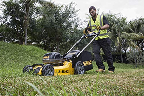 DEWALT DCMW564N-XJ - Cortacesped sin escobillas XR sin cargador/batería