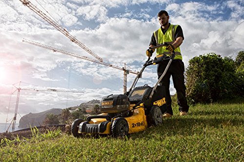 DEWALT DCMW564P2-QW - Cortacesped sin escobillas XR 2 x 18V (36V) 48cm