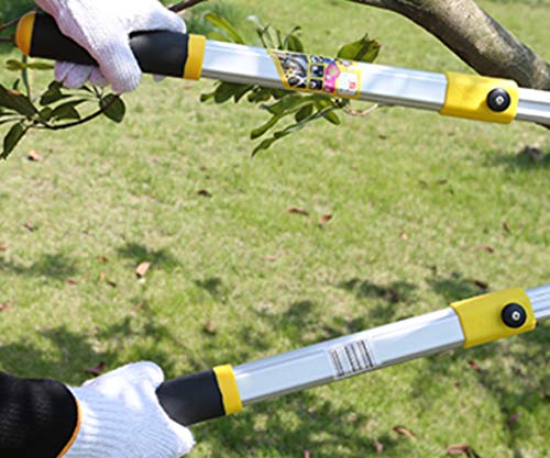 DONGY Mango de aleación de Aluminio telescópico Tijeras para Ramas Sueltas Ahorro de Mano de Obra Cultivo de árboles frutales Corte de Ramas Cizalla de Ramas Altas