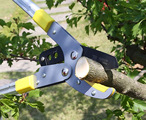 DONGY Mango de aleación de Aluminio telescópico Tijeras para Ramas Sueltas Ahorro de Mano de Obra Cultivo de árboles frutales Corte de Ramas Cizalla de Ramas Altas